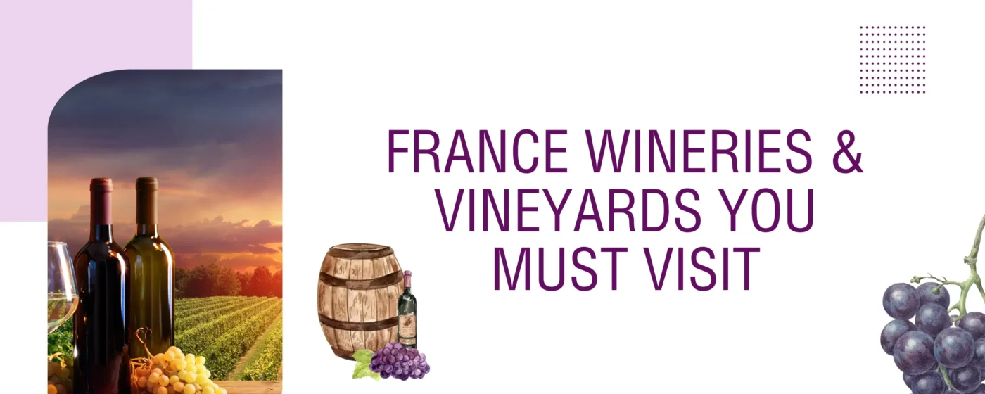 10 France Wineries & Vineyards You Must Visit