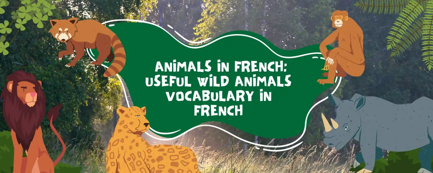 Animals in French_ Useful Wild animals vocabulary in French