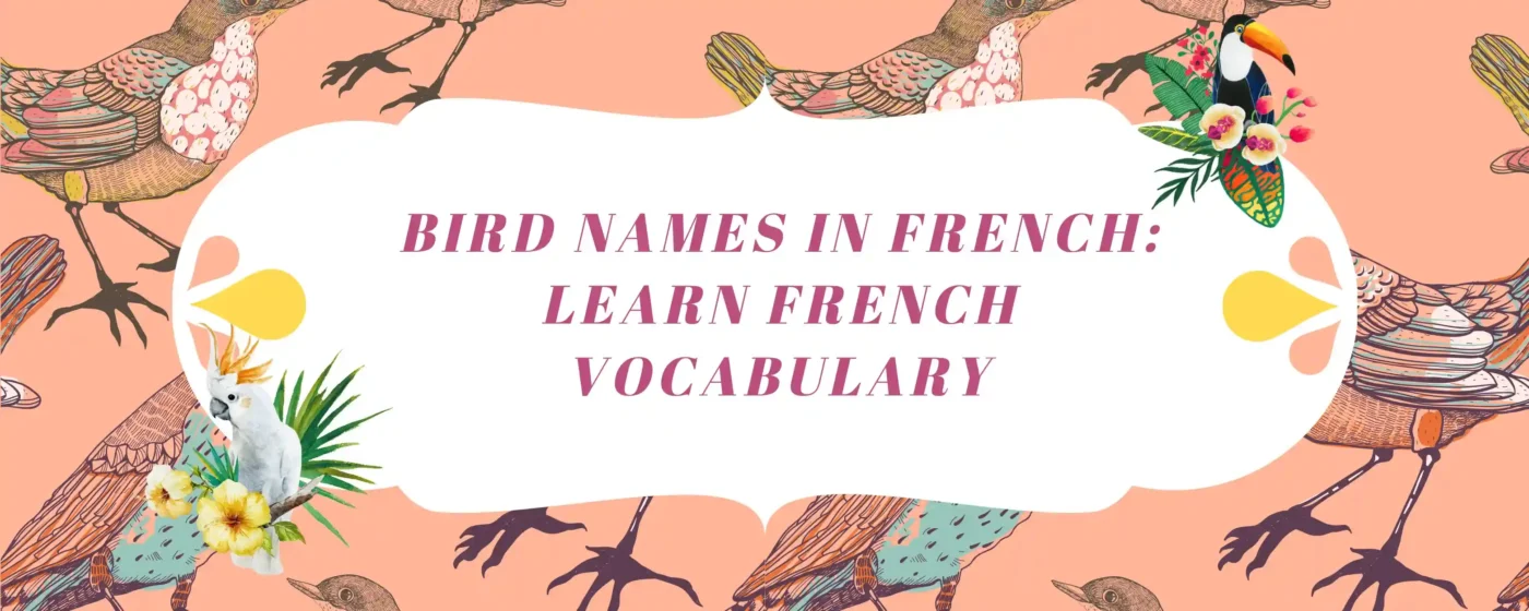 50+ Bird Names In French: Learn French Vocabulary