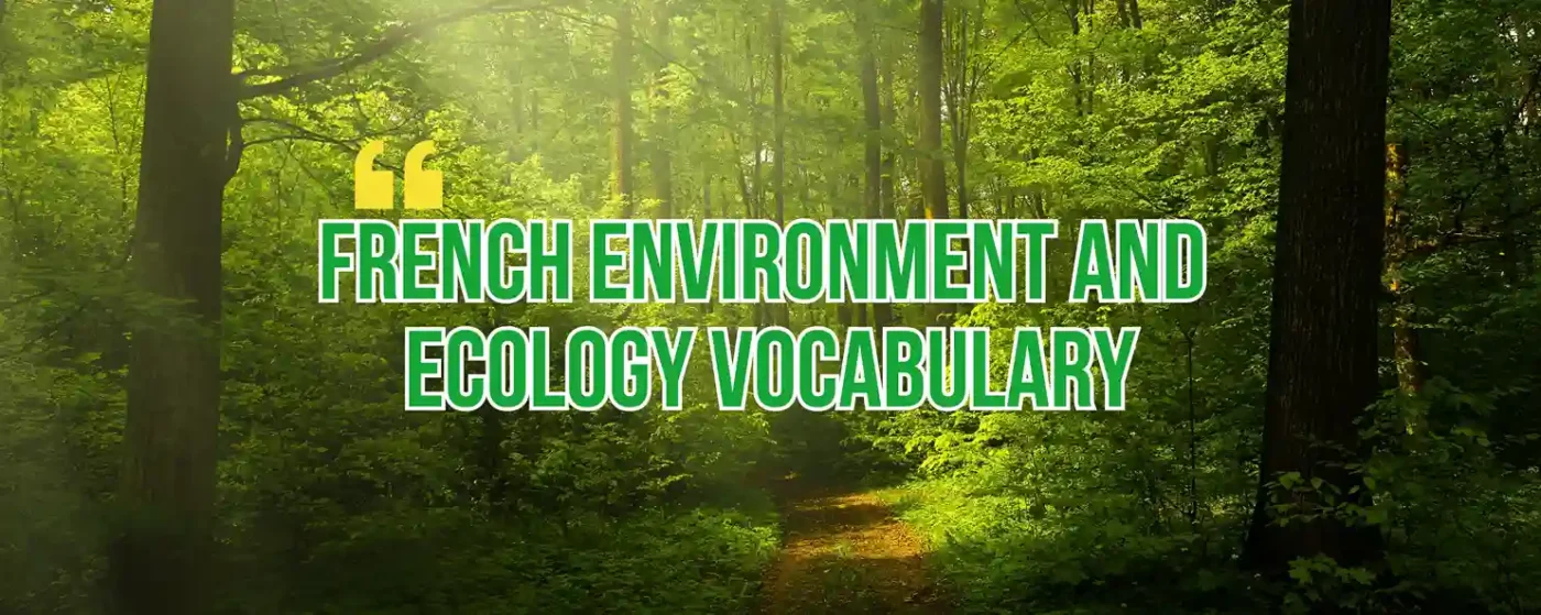 French Environment and Ecology Vocabulary