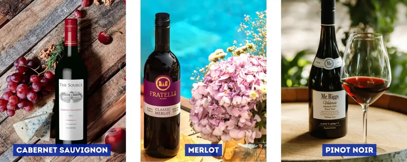 Red Wine Varieties